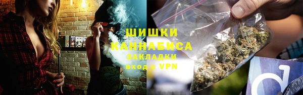 шишки Магадан