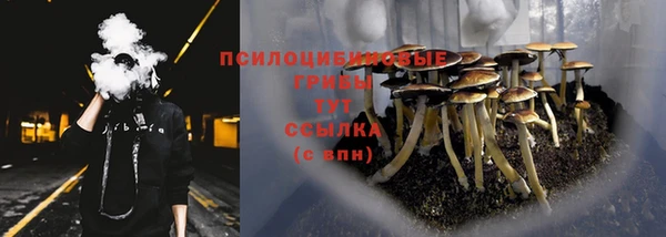 шишки Магадан