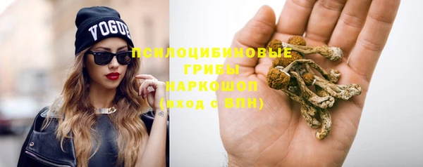 шишки Магадан