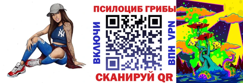 купить наркоту  кракен зеркало  Псилоцибиновые грибы GOLDEN TEACHER  Петухово 